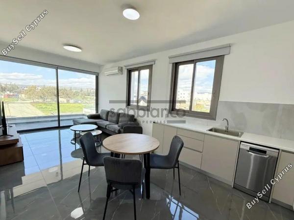 2 bedroom apartment for rent kato polemidia limassol 8749739 image 16478576