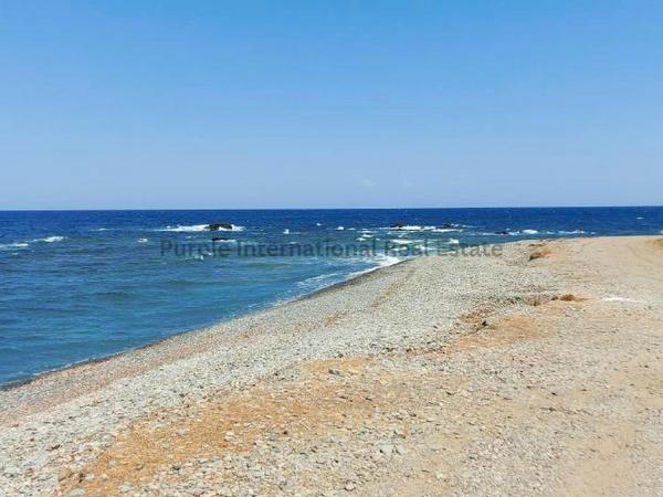 4 bedroom detached house for sale pomos paphos 7544739 image 14842578