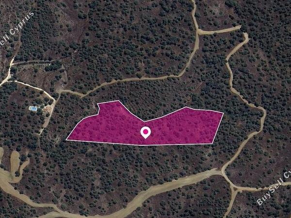 land for sale evrychou nicosia 8629739 image 15869730