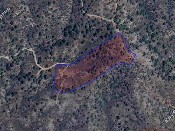 land for sale kalo chorio lemesou limassol 7660739 image 9953744