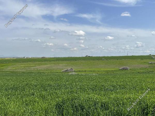 land for sale peristerona lefkosias nicosia 8726739 image 16333608