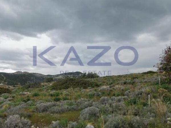 plot for sale kalavasos larnaca 8101739 image 13213519