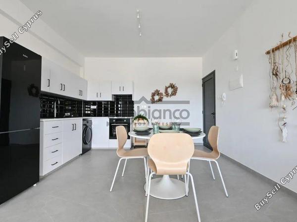 2 bedroom apartment for rent livadia larnacas larnaca 8738839 image 16364968