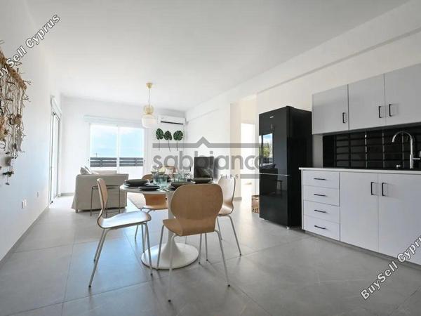 2 bedroom apartment for rent livadia larnacas larnaca 8738839 image 16364969