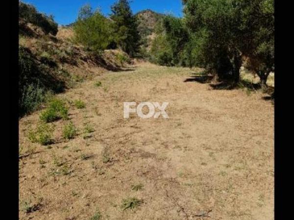 land for sale kaminaria limassol 8085839 image 14153463