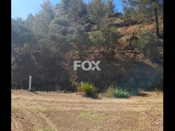 land for sale kaminaria limassol 8085839 image 14153466