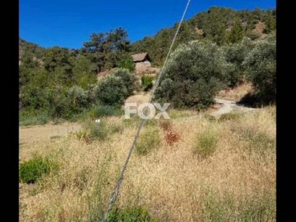 land for sale kaminaria limassol 8085839 image 14153468