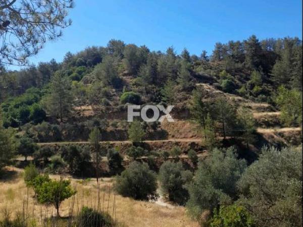 land for sale kaminaria limassol 8085839 image 14153470