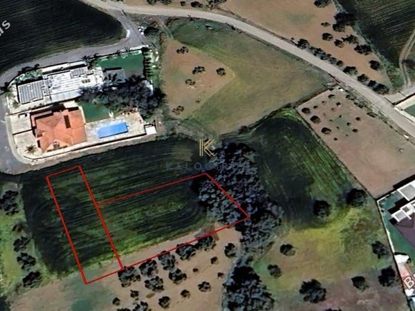 land for sale klirou nicosia 1385839 image 5639860