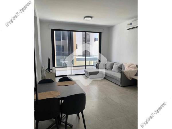 1 bedroom apartment for rent agios dometios nicosia 8797939 image 16708981