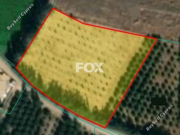 land for sale mandria pafou paphos 1158939 image 16395633