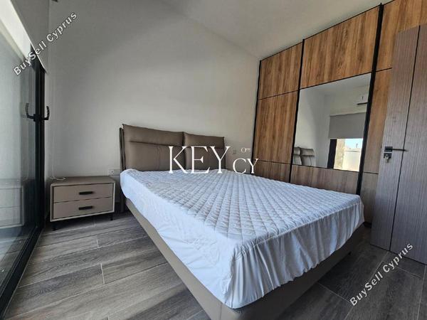2 bedroom apartment for rent pyrgos limassol limassol 8903049 image 17568975