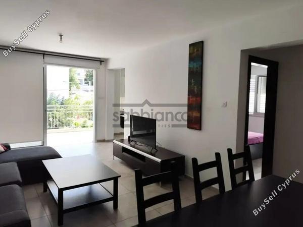2 bedroom apartment for rent strovolos nicosia 8749049 image 16471199
