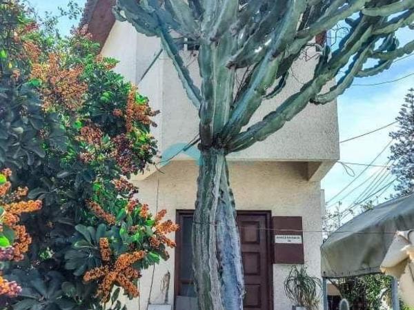 3 bedroom detached house for sale larnaca municipality larnaca 916049 image 7331030