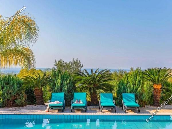 4 bedroom detached house for sale coral bay paphos 8395049 image 16039719