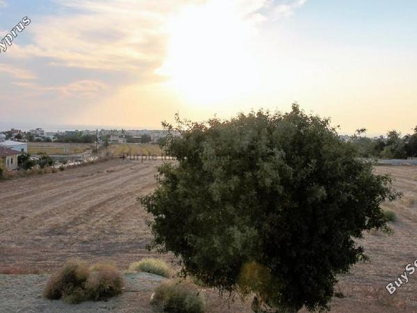 4 bedroom detached house for sale emba paphos 7543049 image 14762275