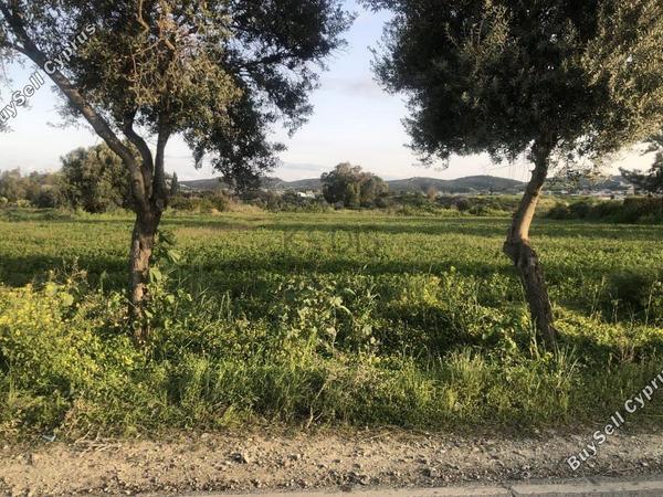 land for sale dali nicosia 1191049 image 5822380