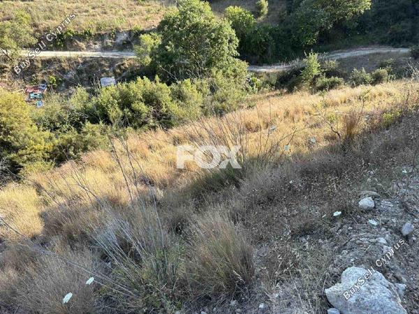 land for sale kallepeia paphos 1270149 image 5558150