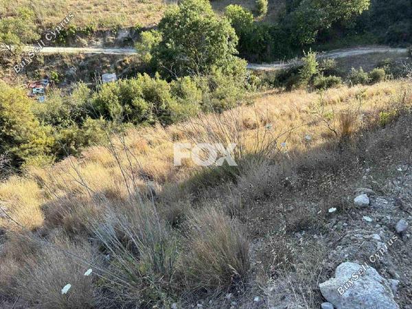 land for sale kallepeia paphos 1270149 image 5558157