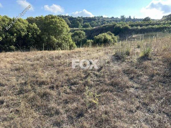 land for sale kallepeia paphos 1270149 image 5558159
