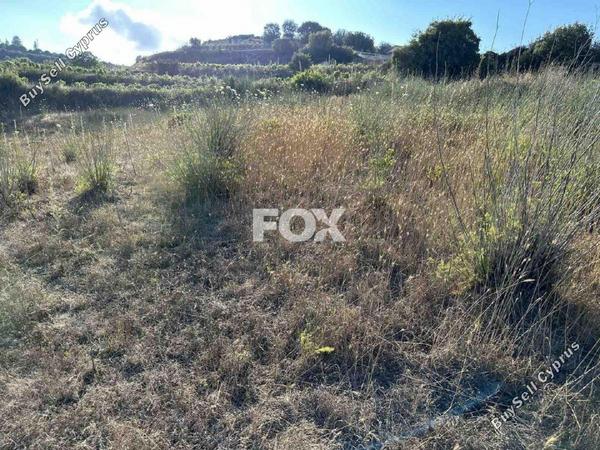 land for sale kallepeia paphos 1270149 image 5558162
