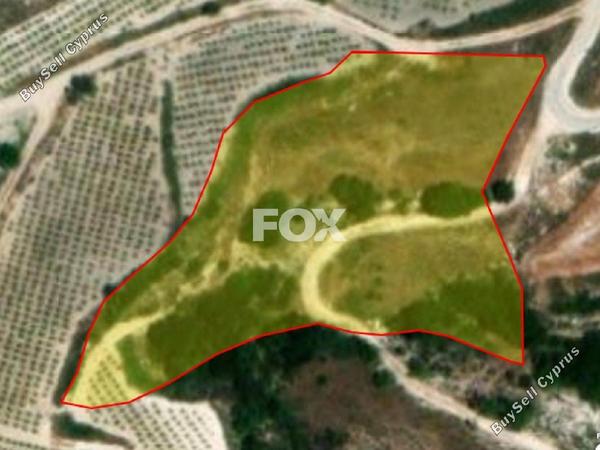 land for sale kallepeia paphos 1270149 image 5558165