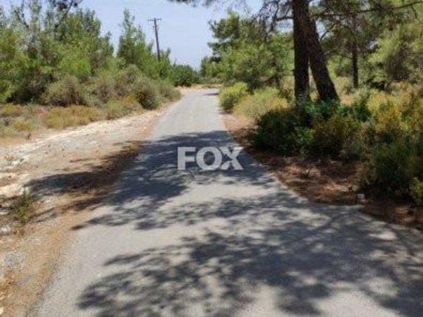 plot for sale souni zanakia limassol 1147249 image 13831512