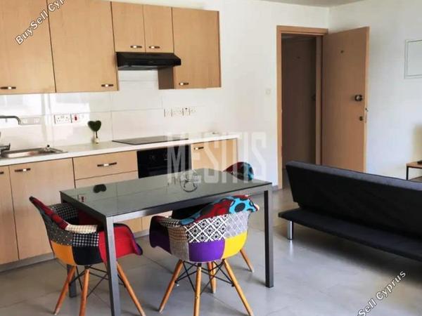 1 bedroom apartment for rent aglantzia nicosia 8681349 image 16340407