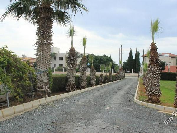 3 bedroom bungalow for sale ayia napa famagusta 1236349 image 5590756