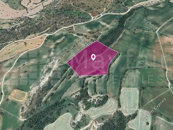 land for sale agios theodoros larnacas larnaca 7872349 image 14892306