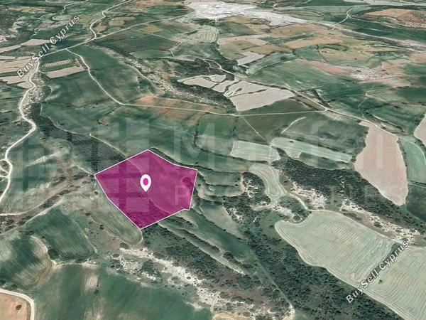 land for sale agios theodoros larnacas larnaca 7872349 image 14892308