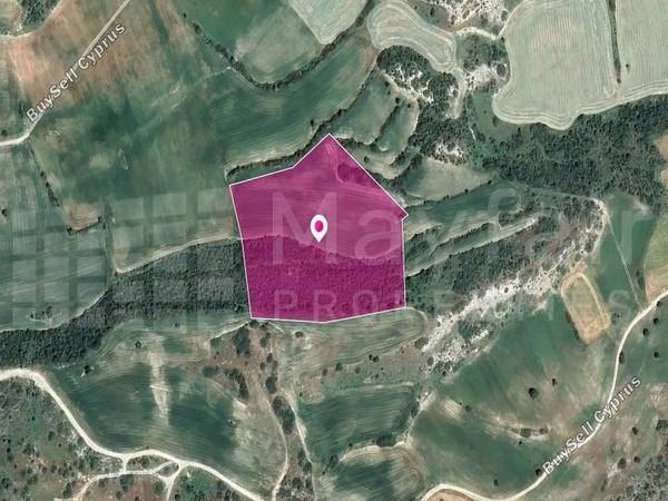 land for sale agios theodoros larnacas larnaca 7872349 image 14892310
