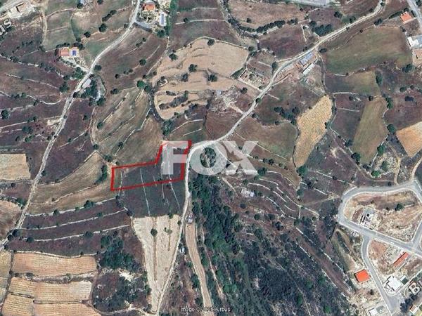 land for sale pachna limassol 1889349 image 7121754