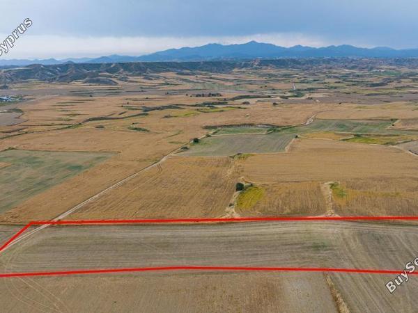 land for sale pera orinis nicosia 8587349 image 15682274