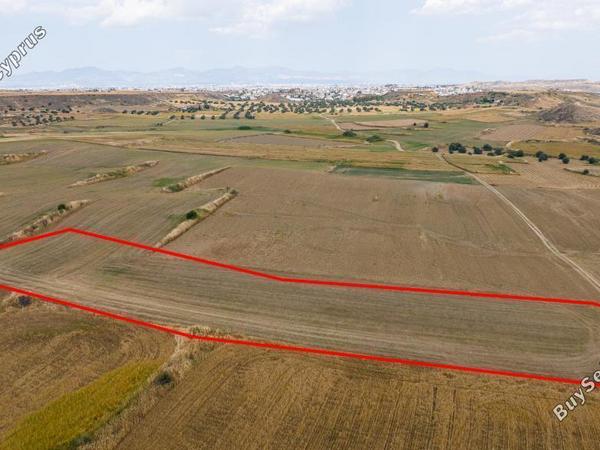 land for sale pera orinis nicosia 8587349 image 17131689