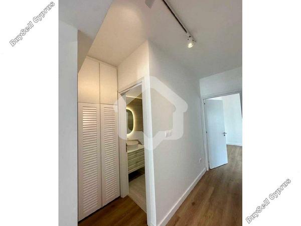 2 bedroom apartment for rent strovolos nicosia 8376449 image 14936615