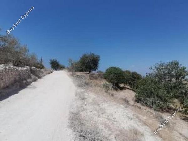 land for sale koili paphos 7868449 image 16225085