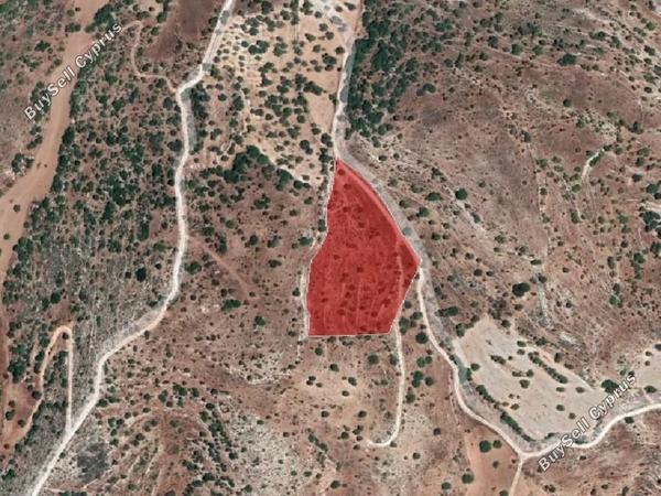 land for sale nata paphos 8630449 image 15873389