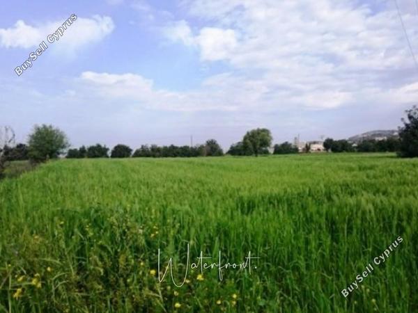 land for sale tremithousa paphos 8959549 image 17782592