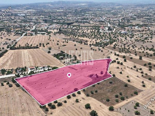 plot for sale mazotos larnaca 8982549 image 17969656