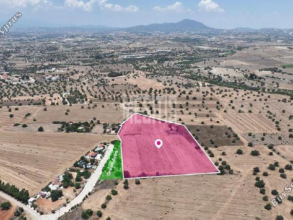 plot for sale mazotos larnaca 8982549 image 17969663