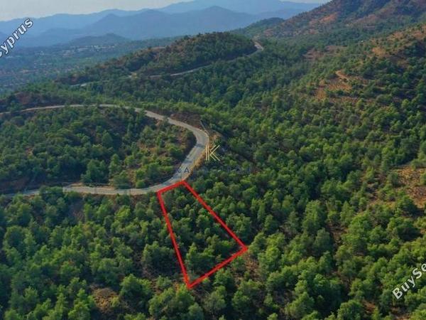 land for sale kornos larnaca 1194649 image 5568909