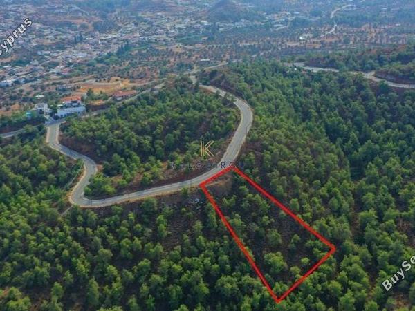 land for sale kornos larnaca 1194649 image 5568912