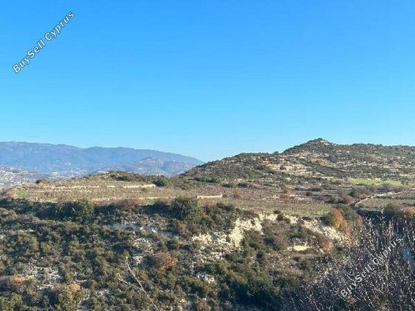 land for sale pachna limassol 8726649 image 16333088
