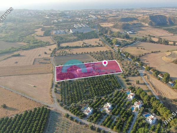 studio mixed use project for sale poli chrysochous paphos 8412649 image 16231483