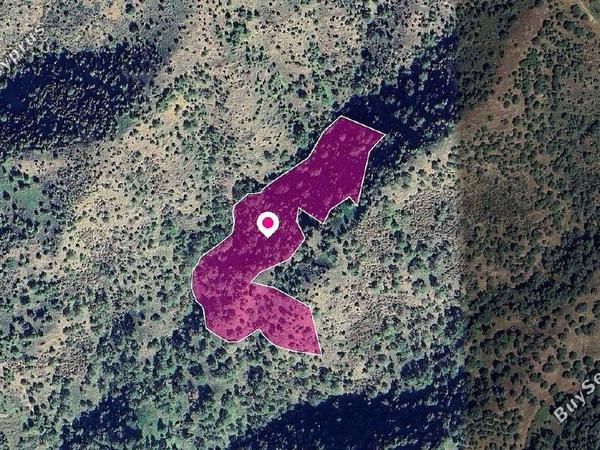 land for sale pomos paphos 1897749 image 14208163