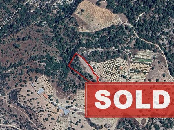 land sold archimandrita paphos 1427749 image 2809279