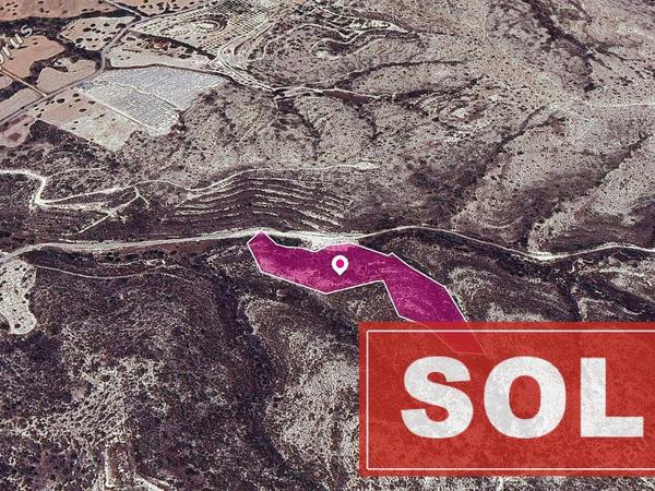 land sold skarinou larnaca 1171749 image 2608501