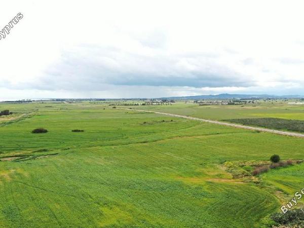 plot for sale pervolia larnaca 8693749 image 16192058