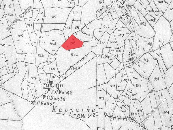 land for sale agios epifanios oreinis nicosia 1751849 image 4794432